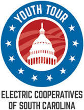 Youth Tour Summit logo