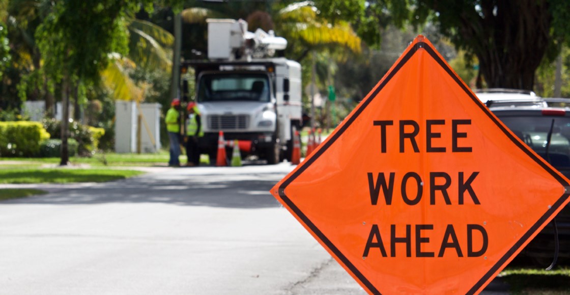 Vegetation Management MidCarolina Electric Cooperative