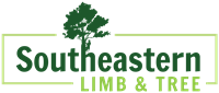 Logo PNG